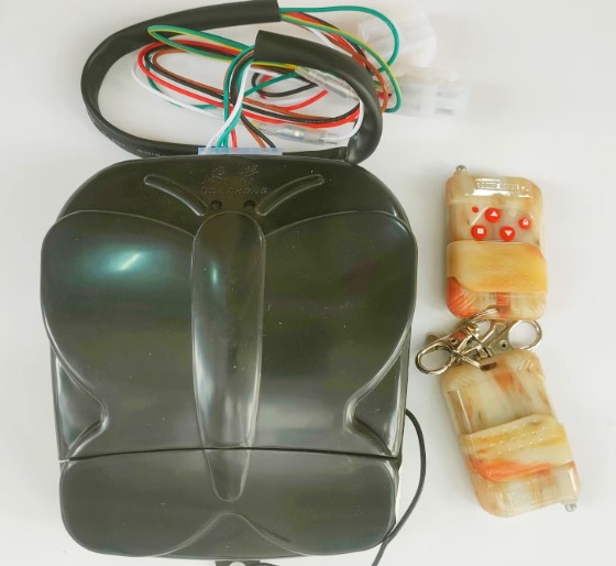 TUNG YONG, REMOTE CONTROL MASTER BOARD +2 REMOTE CONTROL; APPLICABLE 110-220VAC