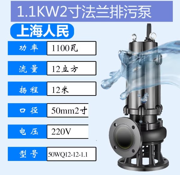 PEOPLE, PUMPS, 220 V. 1.1 KW STAINLESS STEEL