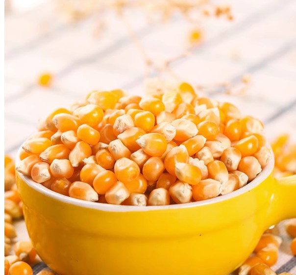 Lipidoup, corn grains, large grains, 45 pounds per bag